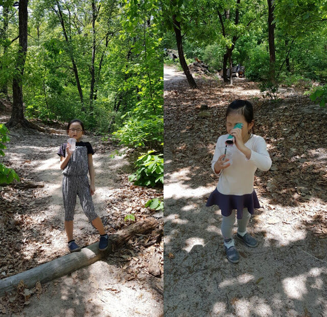 아이들 사진